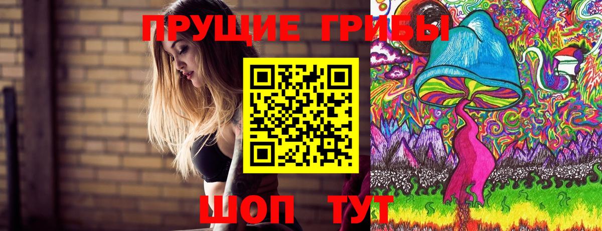 Когалым  Галлюциногенные грибы Psilocybine cubensis  Вход с VPN 
