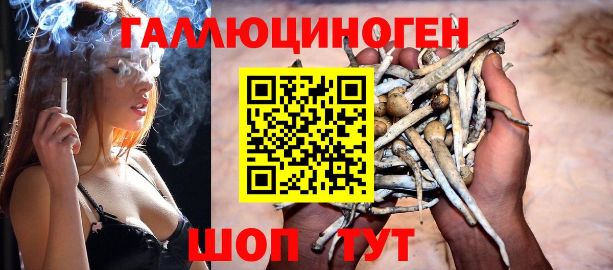 Галлюциногенные грибы GOLDEN TEACHER Когалым